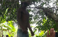 Body of Samuel dangling on the tree