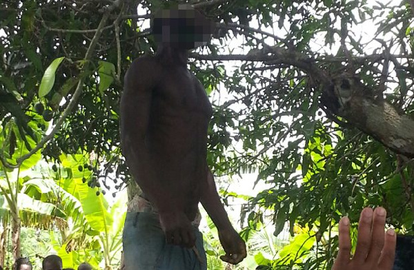 Body of Samuel dangling on the tree