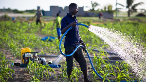 File photo of irrigation farming