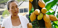 Aisha Huang allegedly sent to destroy cocoa farms