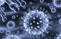 File photo of the virus