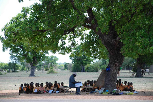 School Under Tree1