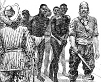 African slaves were regarded as inferior beings