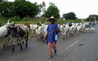 The konkomba farmers are suspected to have burnt down the houses of the fulani herdsmen