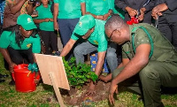 Speaker of Parliament, Alban Bagbin planting a tree