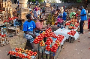 Tomatoe Price