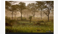 Uganda's Queen Elizabeth National Park borders DR Congo