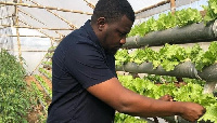 John Dumelo is an entrepreneur and farmer