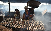 Fish smoking is mainly done by women since many of them can’t engage in fishing