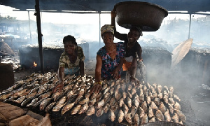 Smoking Fish