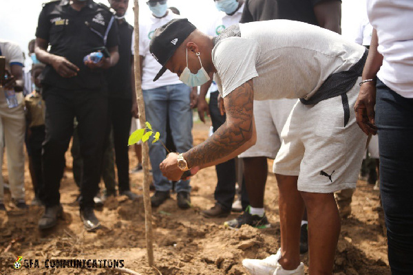 The Black Stars planted the trees in Cape Coast