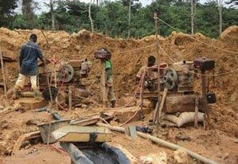 Many farmlands have been destroyed by the operations of illegal miners