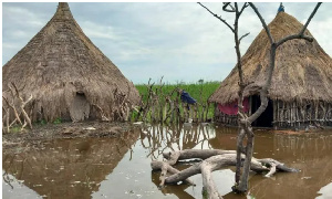 A million people hit by flooding in South Sudan