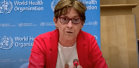 Assistant Director-General for Access to Medicines and Health Products at WHO, Mariangela Simao