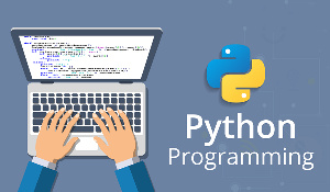 Python is a high-level programming language