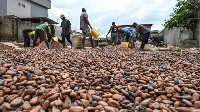 A cocoa shortage has caused a price divergence between the UK and US markets