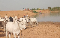 Residents drinking same water with animals