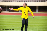 Milovan Rajevac, Black Stars coach