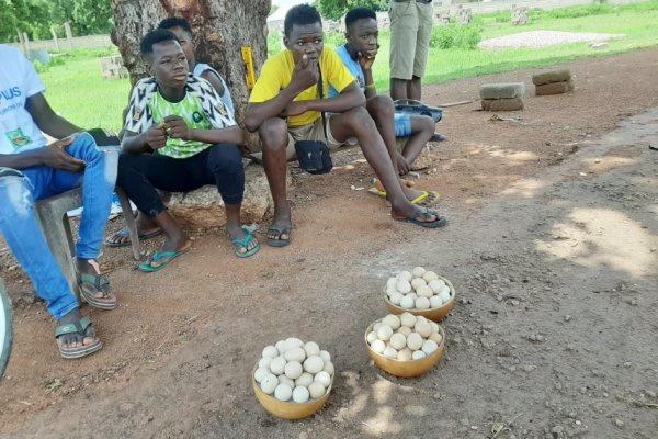 Some of the children selling along the Bolgatanga-Navrongo highway in the Upper East Region