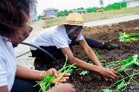 The pageant is put together by the Chamber of Women in Agribusiness Ghana