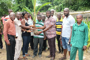 Farmers in Adansi Akrofuom get 10,000 coconut seedlings