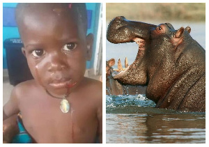 Hippopotamus Ewewf