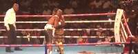 Bukom Banku and Bastie Samir fight