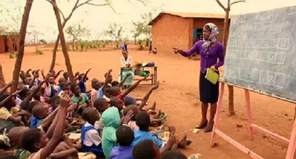 Students studying under trees