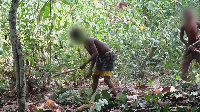 A child working on a farm