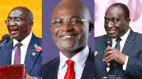 The NPP will elect a new flagbearer later this year