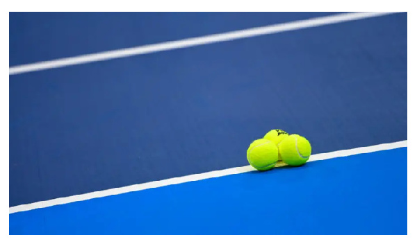 The  Professional Tennis Players Association (PTPA) was created in 2019