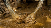 Gold mining