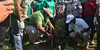 Some authorities taking part in the planting of seedlings