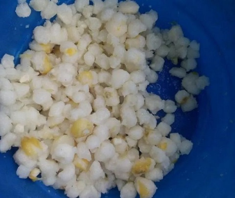 The children are fed with boiled maize by the caterers assigned to the school