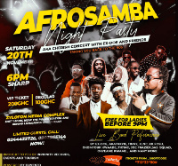 Zylofon Media organizes 'Afrosamba' parrty