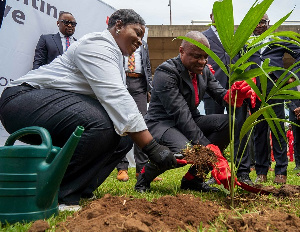 UBA Foundation Tree Planting 1.jpeg