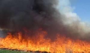 There were 180 bushfires, representing a 115 percent increase compared to 65 in 2019