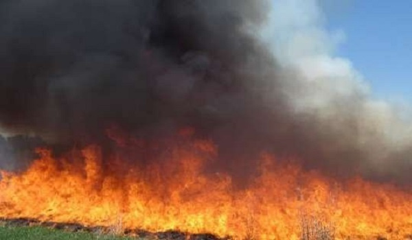 File photo: Bushfire