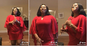 Sarah Adwoa Safo On Tik Tok.png