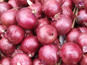 Onions