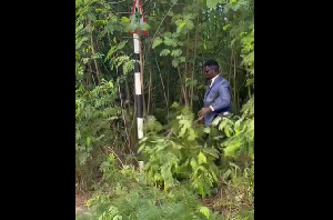 Nana Tea got down in his suit and started weeding the edge of the GIMPA Road