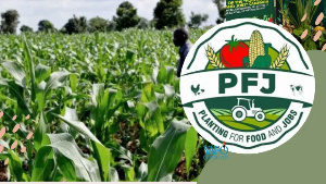 PFJ Phase II gets GH¢3.3bn funding November 5, 20240