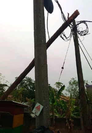 Fallen coconut tree on electricity cables at Kumasi Asafo