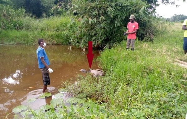 An inspection of the body shows a cut on his head and blood oozing from his eyes