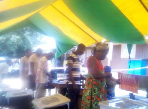 Some of the delegates casting their ballots