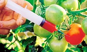 Gmo Testing