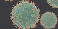 The country has not reported coronavirus deaths