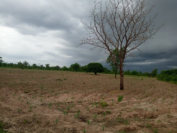 The land donated by the paramount chief of Prang