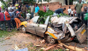 Falling Tree On Taxi.png