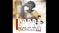 Obaapa Gladys, Cobra